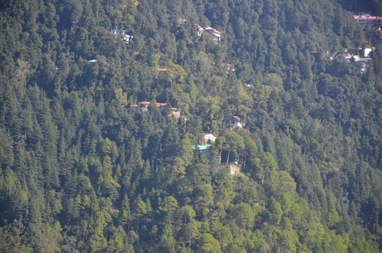 Peaceful Retreat Home Stay, Dalhousie Esterno foto